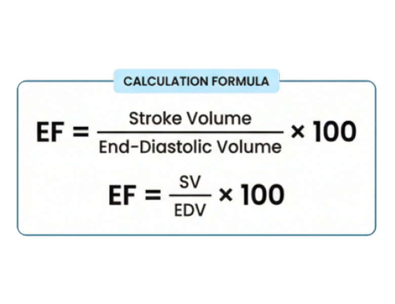 Formule de calcul de la fraction d'éjection : EF = Stroke Volume / End-Diastolic Volume × 100